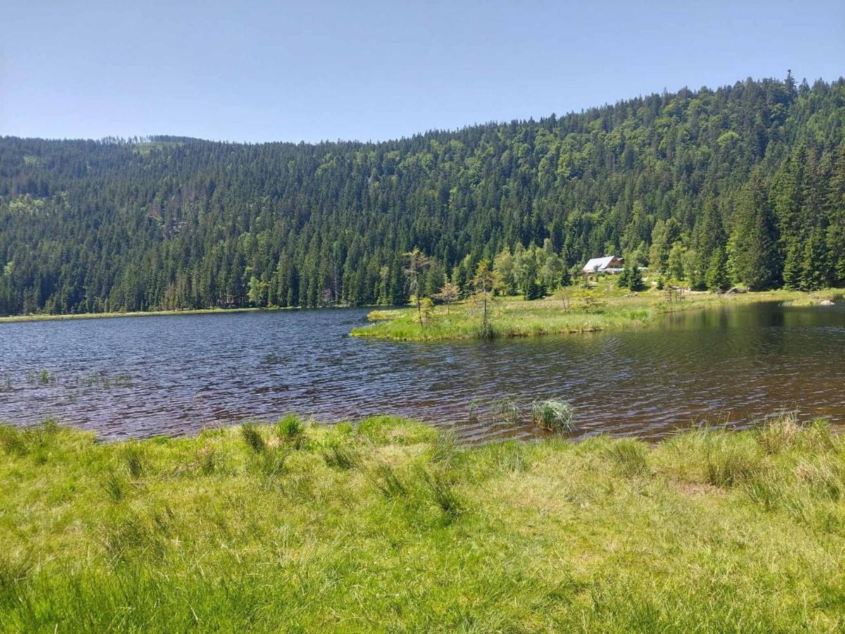 Pension Eichhorn Bayerisch Eisenstein Exteriér fotografie